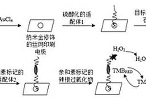 检测孔雀石绿的核酸适配体电化学生物传感器及制备方法