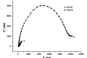 检测肿瘤标志物的生物电化学传感器及其制备方法
