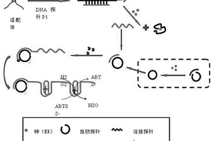 检测三价砷的化学发光传感器及其制备方法
