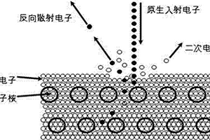检测源极多晶硅经化学机械研磨后表面异常的方法