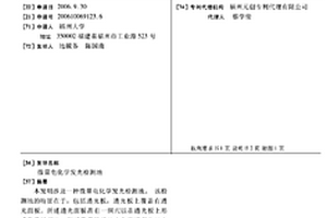 微量电化学发光检测池