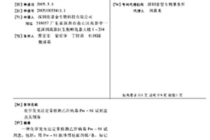 化学发光法定量检测乙肝病毒Pre-S1试剂盒及其制备