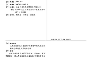 人类免疫缺陷病毒抗原/抗体化学发光免疫分析测定试剂盒及其制备方法