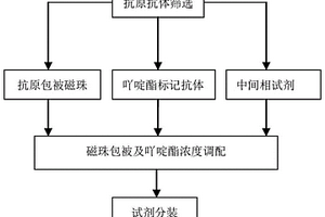检测单纯疱疹病毒1+2型IgM抗体的化学发光免疫分析试剂盒及其制备方法
