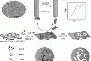 基于导电性印迹纳米粒及磁控诱导成膜对胰岛素的电化学检测方法