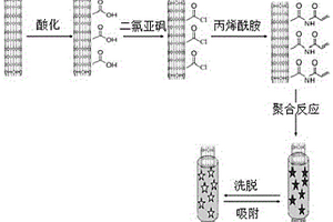 检测2,4-二氯苯酚的分子印迹电化学传感器的制备方法