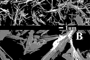 血红蛋白和钛酸纳米纤维修饰碳离子液体电极的制备及其电化学分析应用
