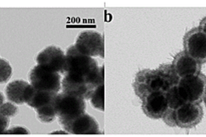 Fe<Sub>3</Sub>O<Sub>4</Sub>@PDA@MnO<Sub>2</Sub>核壳纳米颗粒的制备及对重金属离子的富集和电化学检测