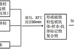 用于NPTX2的磁微粒化学发光免疫检测试剂盒