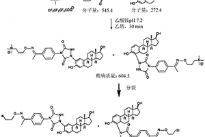 使用标记化学和LC-MSMS工作流分析具有酚系OH的雌二醇和分析物