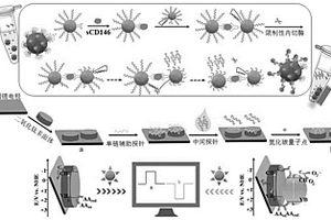 检测癌症标志物的信号翻转型光电化学生物传感器及其制备方法和应用