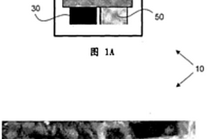 样品中辣椒素类物质化合物的电化学检测
