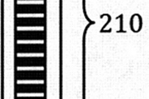 过敏原特异性抗体IgE的免疫印迹化学发光检测试剂盒