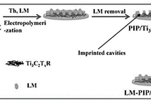 PIP/Ti3C2TxR/GCE电化学传感器的制备方法及其检测LM的方法