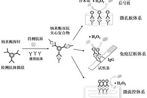 用于酶促化学发光检测的纳米酶及其用途