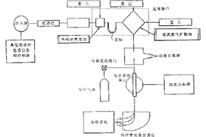 用氟基化学反应连续测定同位素比率的装置