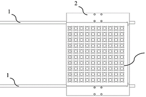 高通量全自动拉曼光谱分析仪系统及测试方法