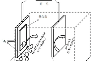 快速检测强碱性溶液中硫离子浓度的装置和方法
