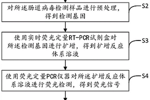实时荧光定量RT-PCR检测肠道病毒方法