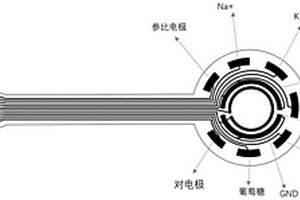 面向眼科疾病连续检测的可穿戴诊疗一体化系统