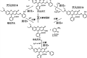 快速检测半胱氨酸的荧光探针及其合成方法与应用