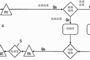在进行血液透析期间检测动静脉分路中再循环的方法及透析系统