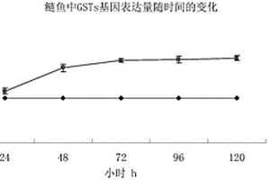 检测水体中污染物的方法