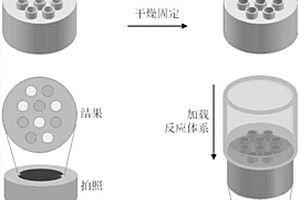 基于毛细管微阵列的核酸高通量快速检测方法