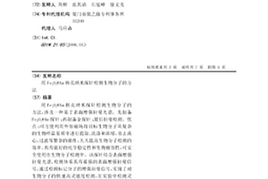用Fe3O4@Au核壳纳米探针检测生物分子的方法