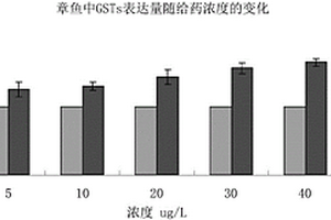 应用章鱼检测海水中污染物的方法
