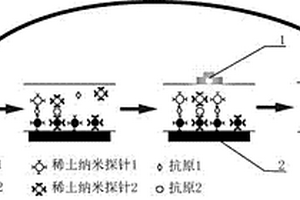 基于纳米探针和磁性微纳米颗粒的快速连续检测技术