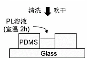 蛋白质芯片荧光检测方法
