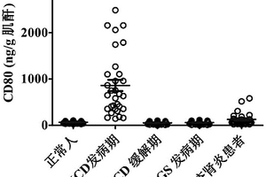 检测人尿中CD80的试剂盒