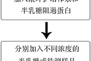 基于滚环扩增技术的检测半乳糖的方法