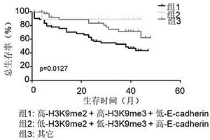 检测H3K9甲基化和E-cadherin表达量试剂在制备肝癌预后评估试剂盒的应用
