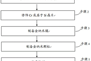基于电化学粗化的纳米金薄膜SERS基底制备方法