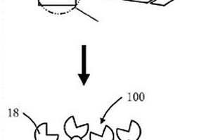 生物芯片检测装置及其生物传感器平台、制法和应用