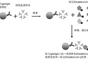 基于抗原标记物检测新型冠状病毒SARS-CoV-2抗体的试剂盒及方法