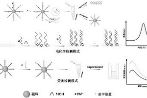 基于磁分离技术介导的双模生物传感器检测铅离子的方法