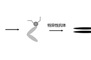用于病毒检测的半导体传感器及其制备方法与应用