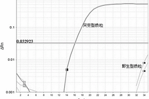 高灵敏度基因突变检测方法及所用试剂盒