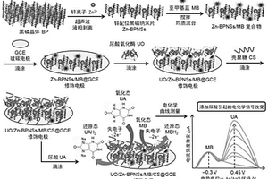 基于锌配位黑磷纳米片复合物与生物酶催化的比率电化学尿酸传感器的制备方法