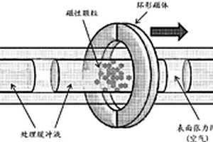 用于提取、浓缩和检测分子物类的使用表面张力阀的低资源处理器