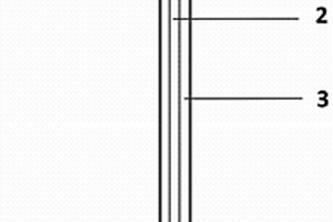 可用于Cu<sup>2+</sup>检测的功能修饰针灸针电极及其制备方法