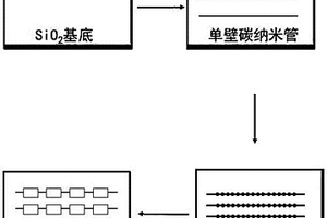 能利用其自生长条件电信号转换检测生物分子的单壁碳纳米管的制备方法