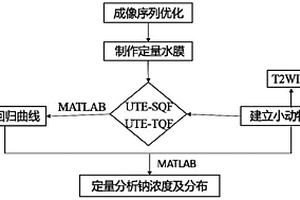 基于多核素磁共振成像定量检测肺癌23Na分布的方法