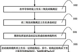 用于硅纳米线生物检测芯片的结构及其制造方法