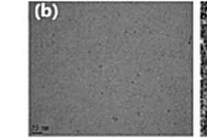 基于金纳米团簇荧光特性的多聚磷酸盐检测新方法