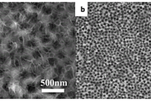 用于葡萄糖无酶检测的NiCo<Sub>2</Sub>O<Sub>4</Sub>/Ni-P复合电极及其制备方法与应用