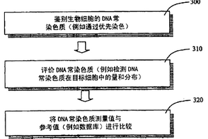 用于检测疾病的鉴别和评价DNA常染色质的方法